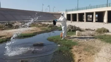 كارثة بيئية في العريش تغرق منازل مياه المجاري وتثير معاناة الأهالي من الروائح الكريهة 1